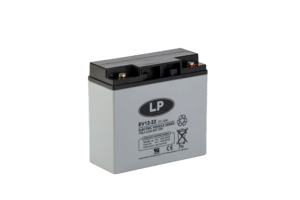 VRLA EV12022 T12 (BATTERY)