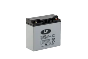 VRLA EV12022 T12 (BATTERY)