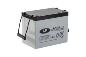 VRLA EV12075 T6 (BATTERY)