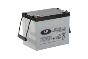 VRLA EV12075 T6 (BATTERY)